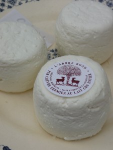 pays-alesia-seine-auxois-arbre-rond-fromage-chévre-frais-biquette-corpoyer-la-chapelle