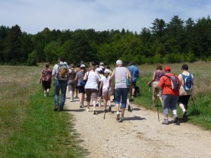 pays-alesia-seine-auxois-bourgogne-randonnee-chemins-route-foret-sentiers-marcheurs