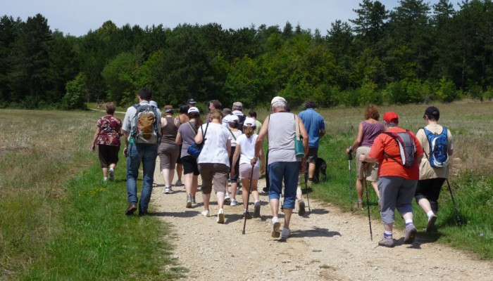 pays-alesia-seine-auxois-bourgogne-randonnee-chemins-route-foret-sentiers-marcheurs