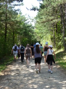 pays-alesia-seine-auxois-bourgogne-randonnee-chemins-route-foret-sentiers-marcheurs-sous-bois-bob