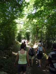 pays-alesia-seine-auxois-bourgogne-randonnee-chemins-route-foret-sentiers-sous-bois-marcheurs