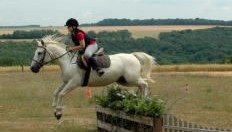 pays-alesia-seine-auxois-bourgogne-thenissey-equitation-cavalier-saut