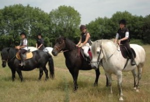 pays-alesia-seine-auxois-bourgogne-thenissey-equitation-cavaliers