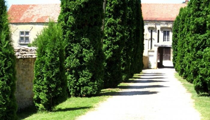 pays-alesia-seine-auxois-domaine-maison-forte-darcey-munois-allee